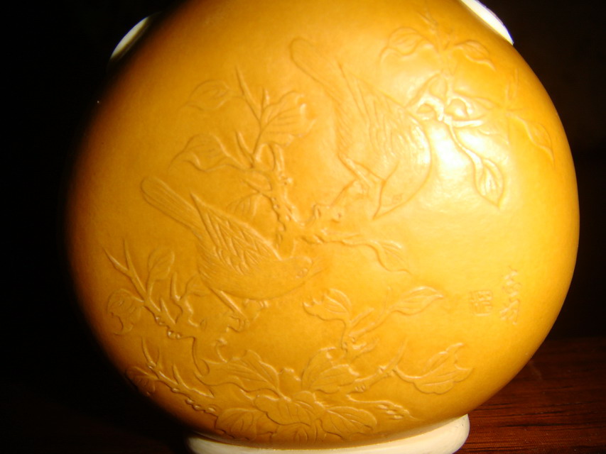 DSC03177-1.jpg
