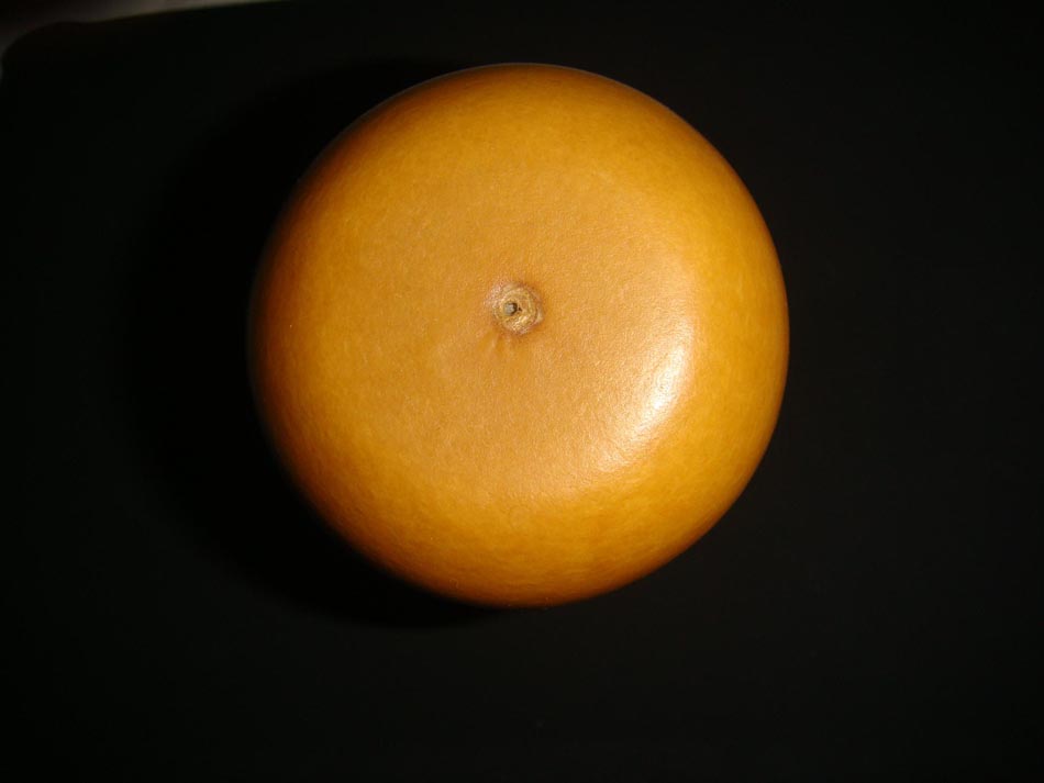 DSC02903.JPG