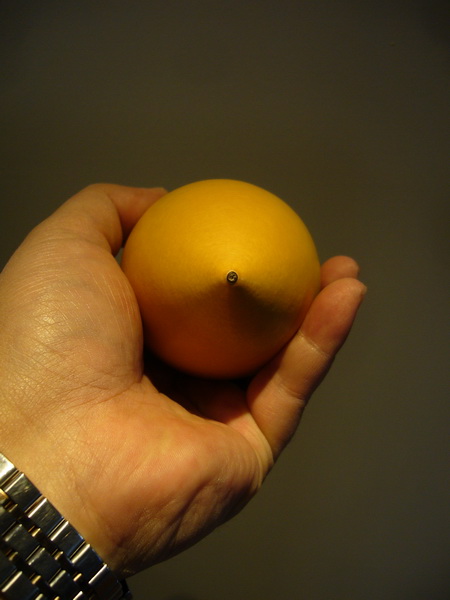 P1260310_调整大小.JPG