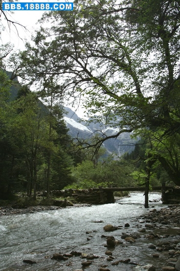 IMG_7242.jpg