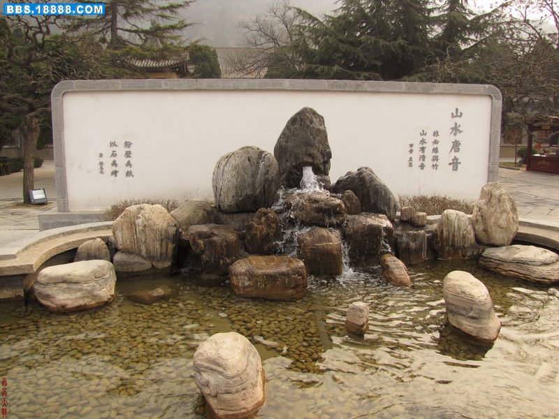 IMG_3164_调整大小.JPG