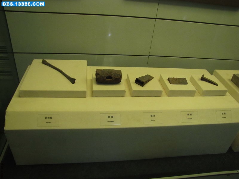 IMG_2965_调整大小.JPG