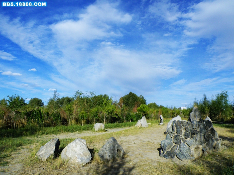 DSCF2567.jpg