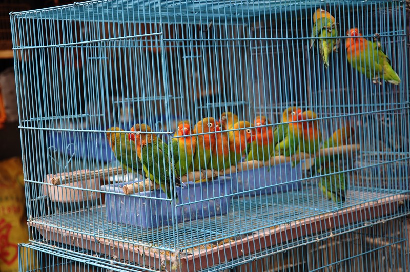 DSC_0082.JPG