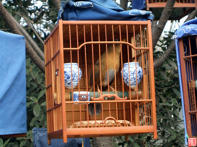 DSCF5467.JPG