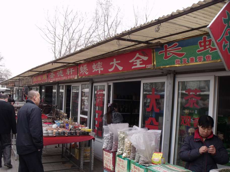 2011_02260028.JPG