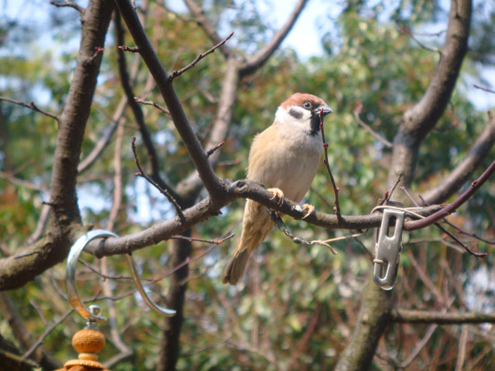 DSC01247.JPG