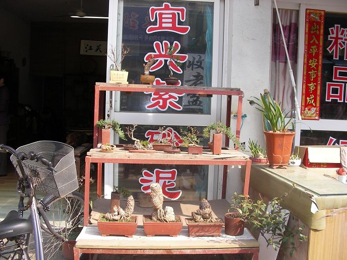 SANY0141.JPG