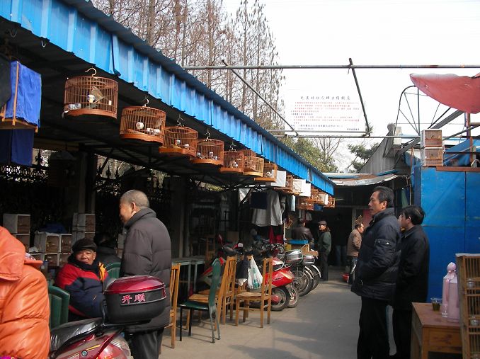 SANY0162.JPG