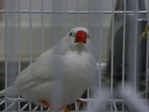 照片 029.jpg