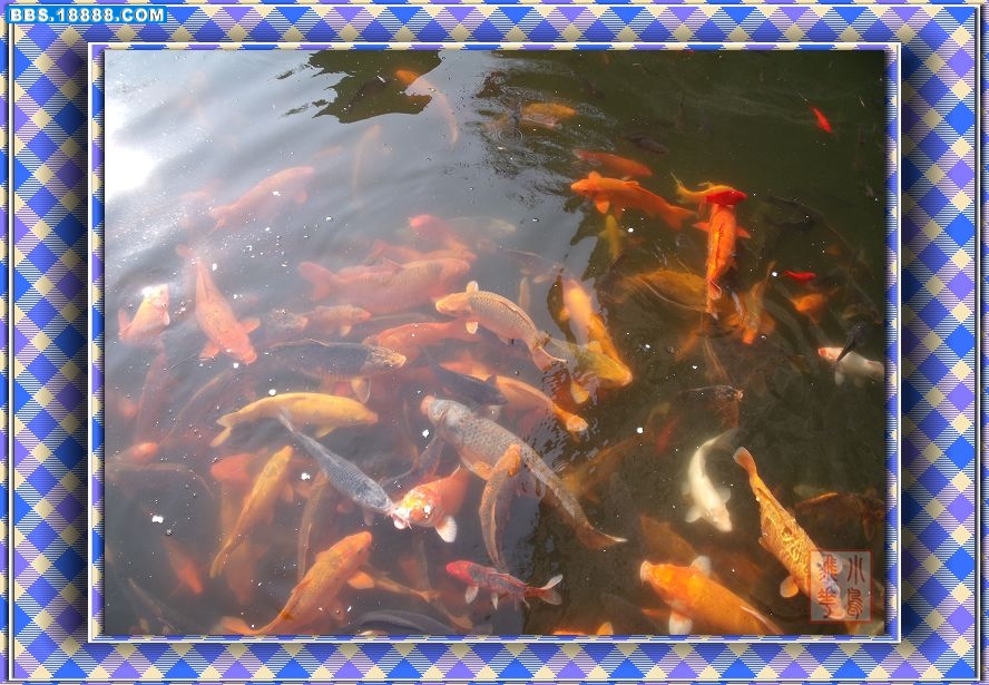 DSCF5318.jpg