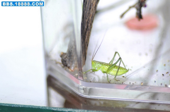 nEO_IMG__DSC7355-0.jpg