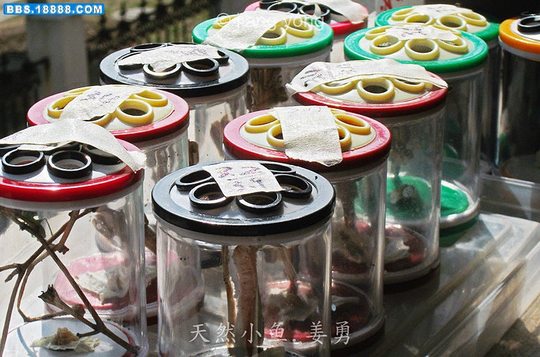 DSCF2585 - 副本2.JPG