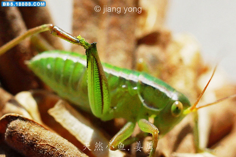 IMG_3190 - 副本3.JPG