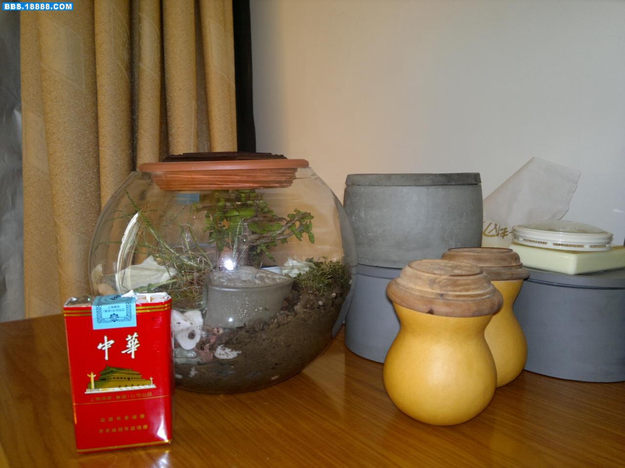 20110327129.jpg