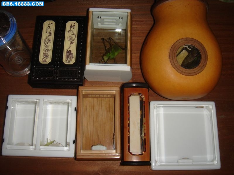 110031fdzsn4knkbnzfkcf.jpg