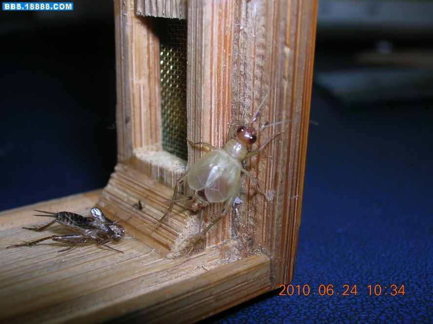DSCN8611.jpg