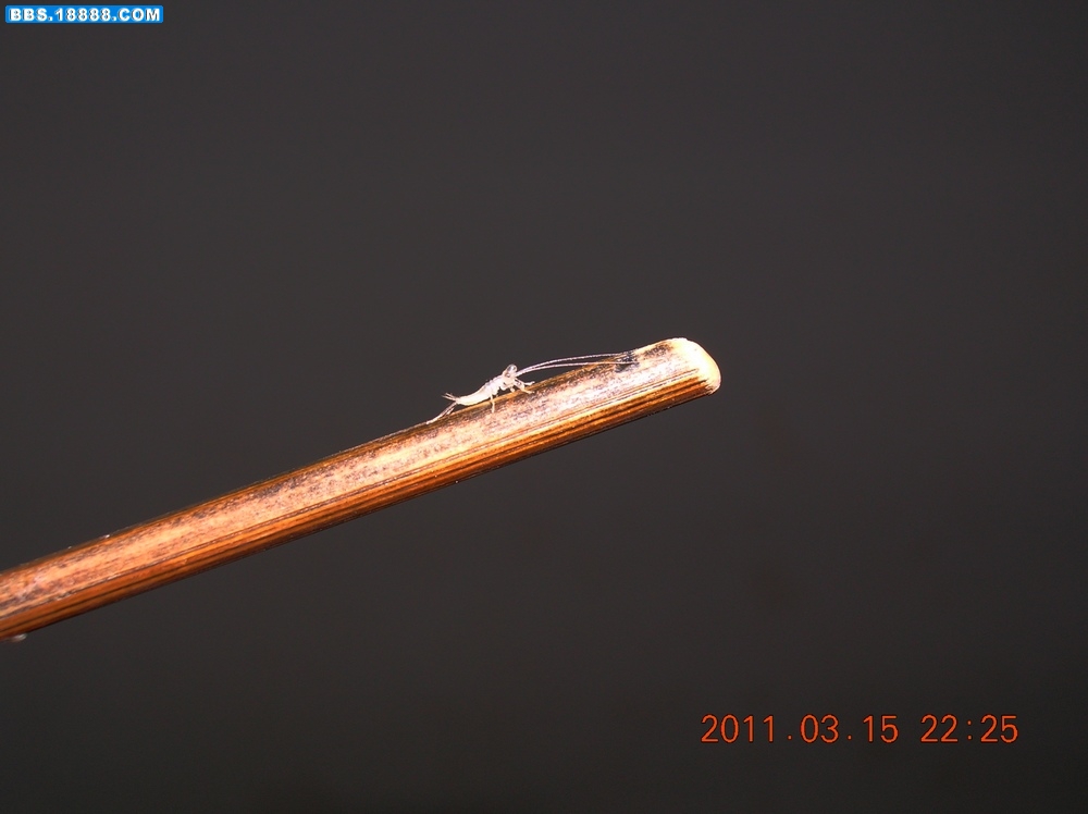 DSCN9878.jpg