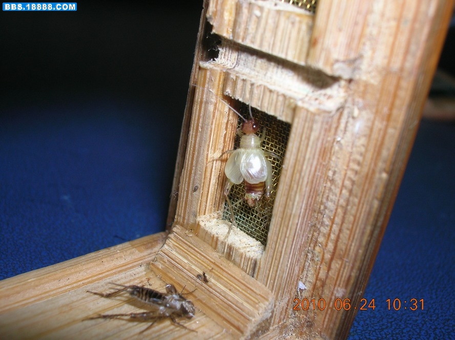 DSCN8605.jpg
