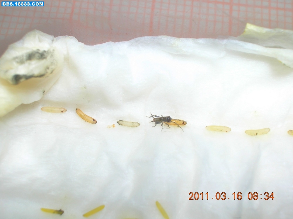 DSCN9889.jpg