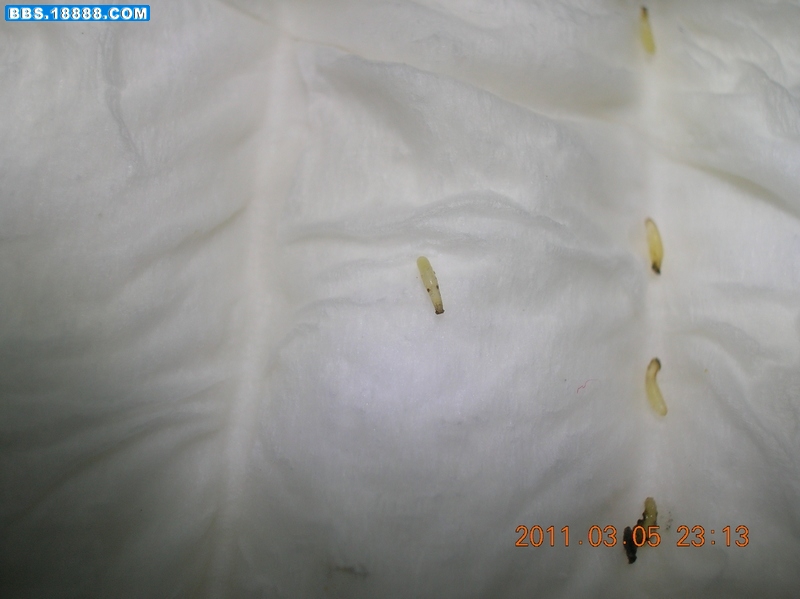 DSCN9976.jpg