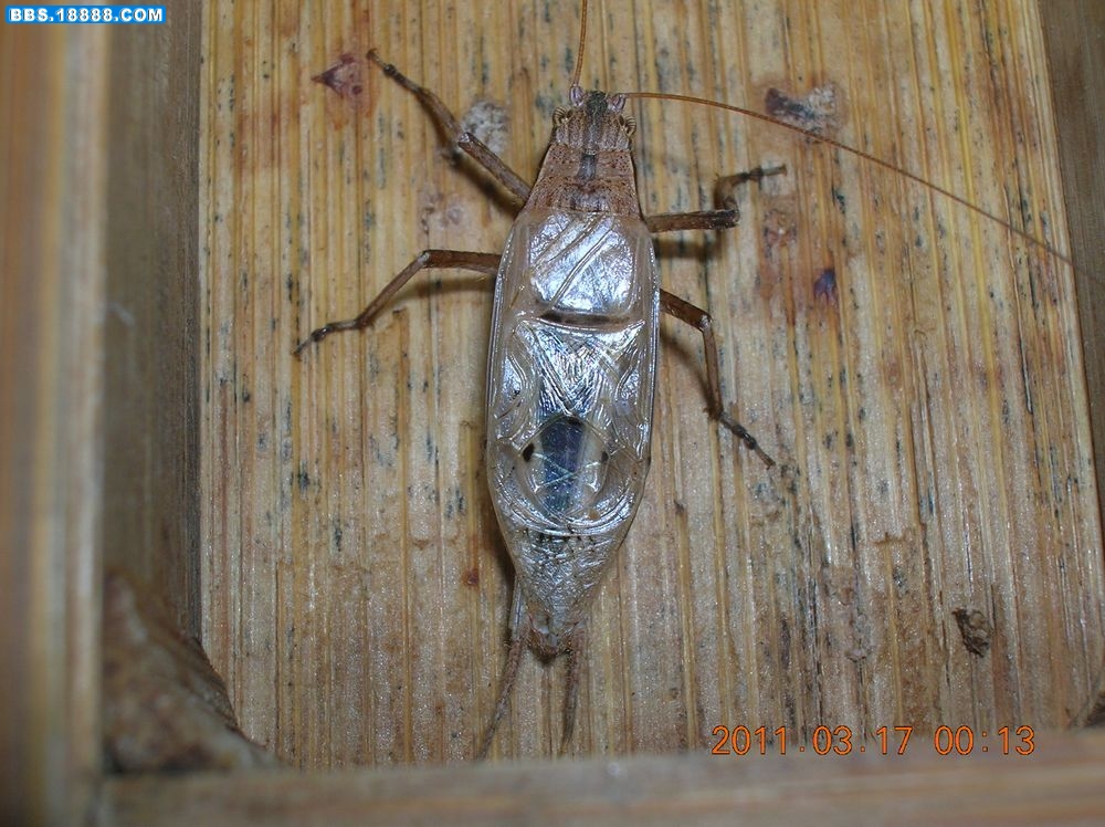 DSCN9907.jpg