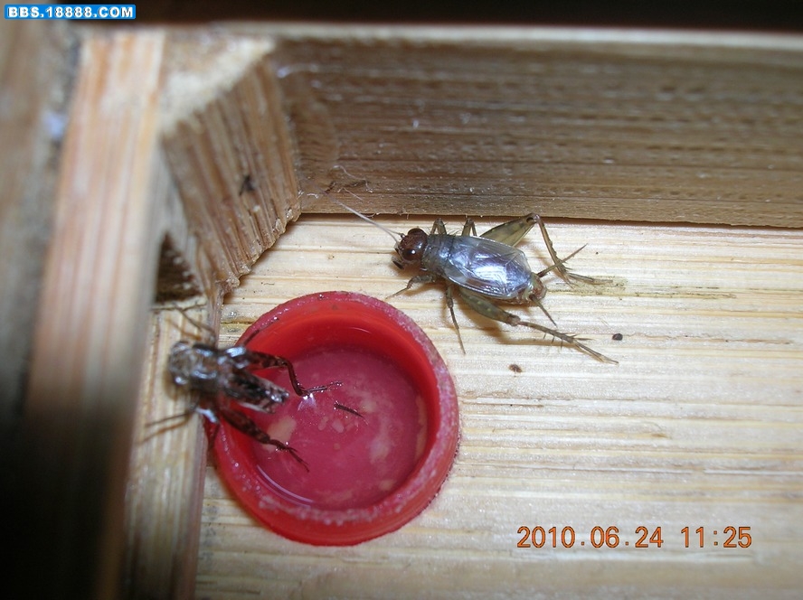 DSCN8627.jpg
