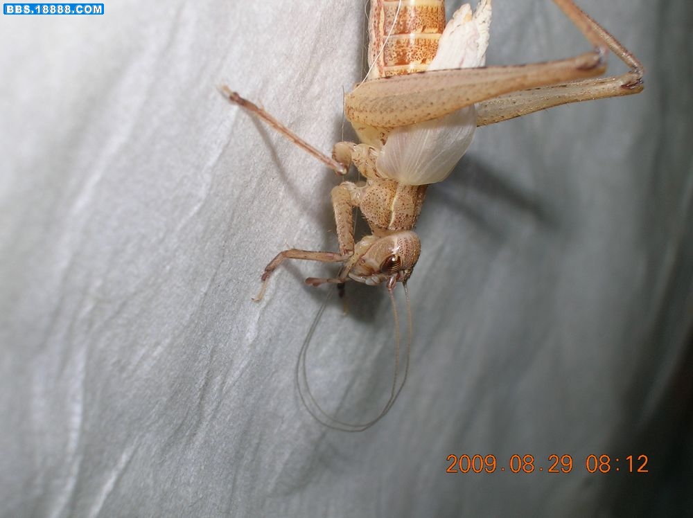 DSCN6724.jpg
