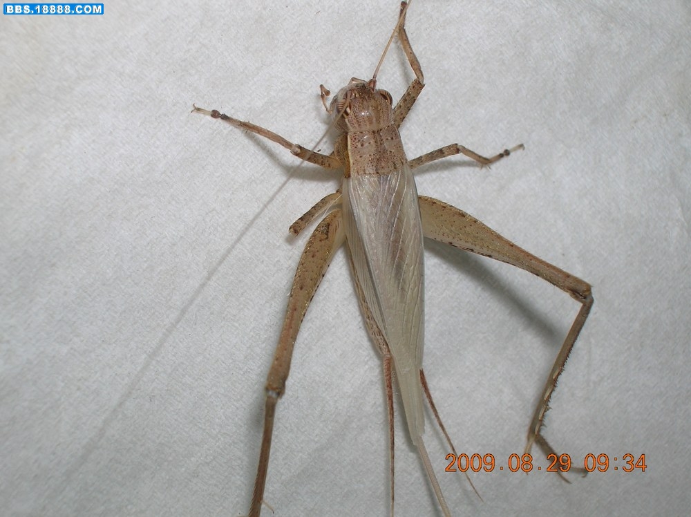 DSCN6776.jpg