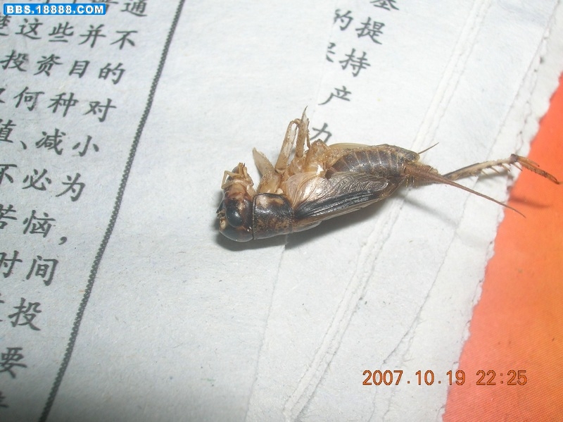 DSCN1364.jpg