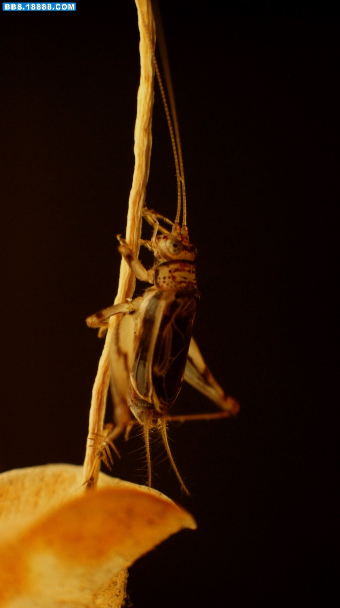 DSC08360_nEO_IMG.jpg