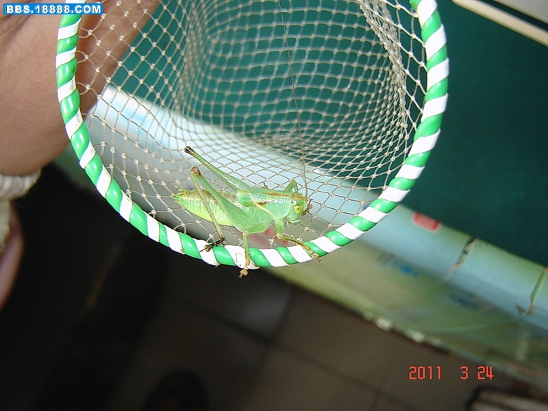 DSC02358.jpg
