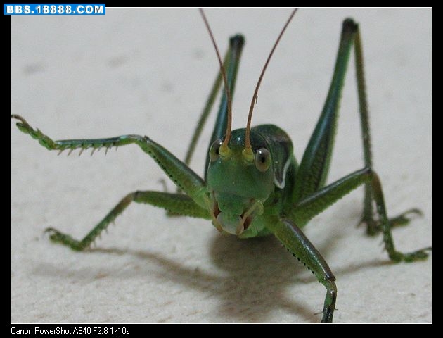nEO_IMG_照片 024.jpg