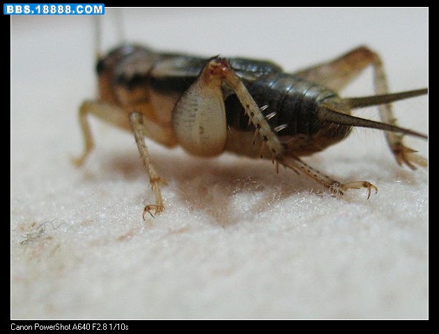 nEO_IMG_照片 048.jpg
