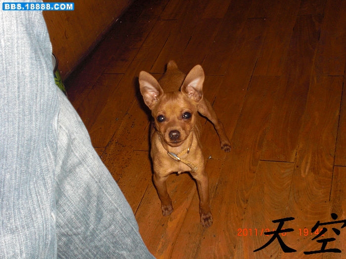 nEO_IMG_CIMG1843.jpg