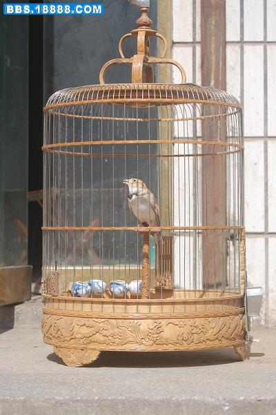 DSC_0045.JPG