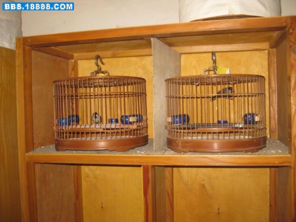 IMG_0309 (600x450).jpg