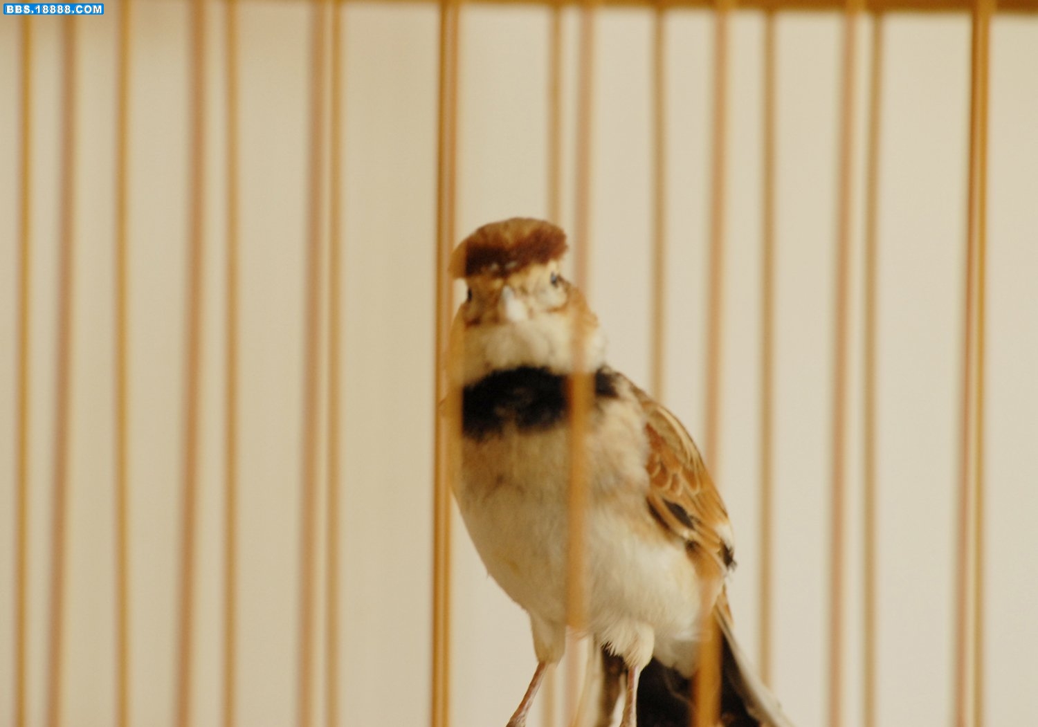 DSC_0431_conew1.jpg