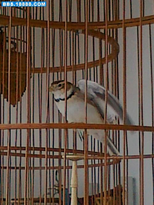 20110307357.jpg
