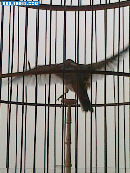 20110320373.jpg