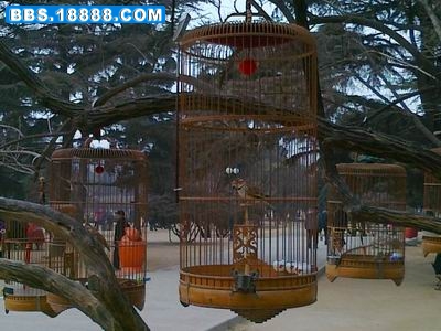 20110224310.jpg