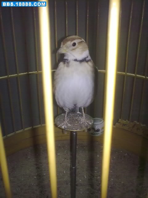 20110314013.jpg