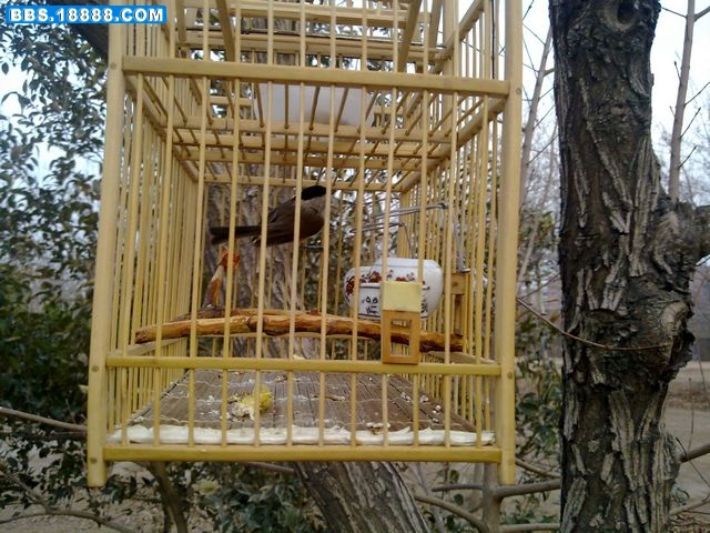 20110304888.jpg