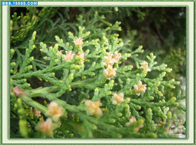 DSCF6155.jpg