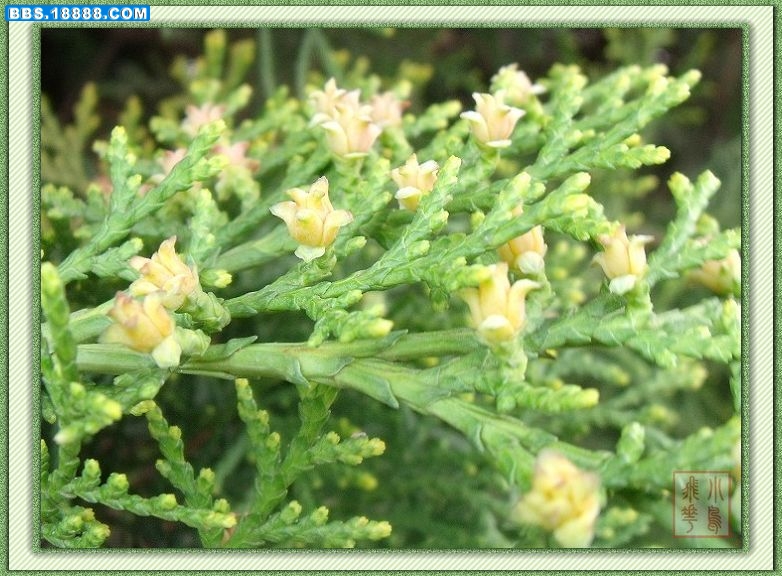 DSCF6156.jpg