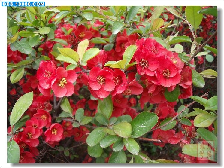 DSCF6003.jpg