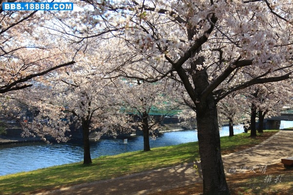 conew_dpp_0014.jpg