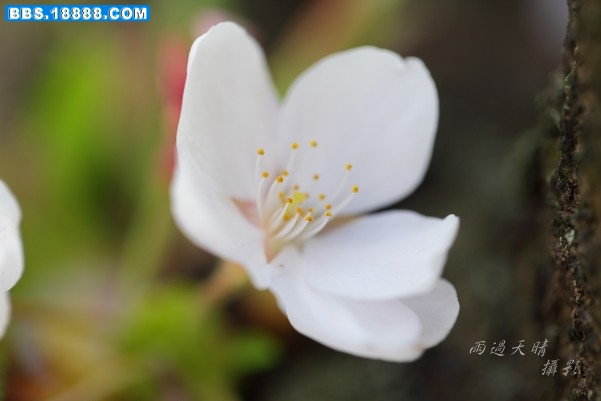 conew_dpp_0041.jpg