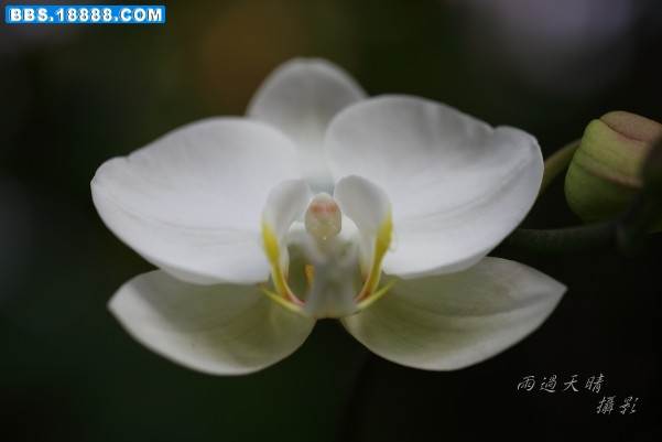 conew_dpp_0001.jpg
