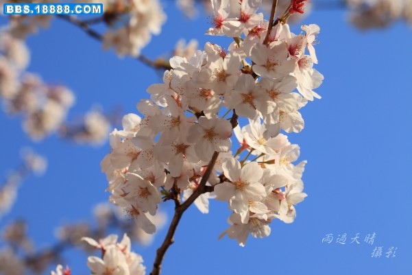conew_dpp_0047.jpg
